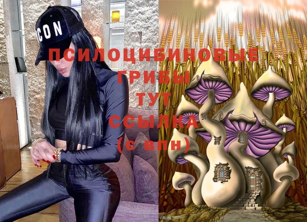 a pvp Алексин