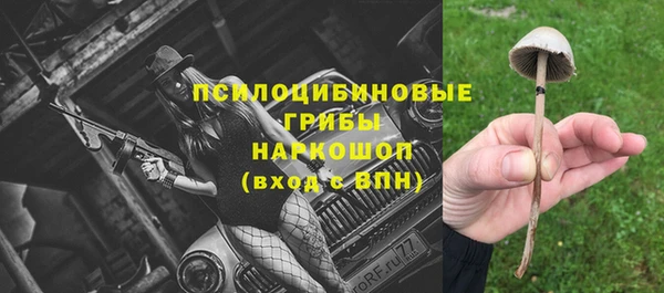 a pvp Алексин