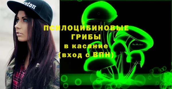твердый Алексеевка